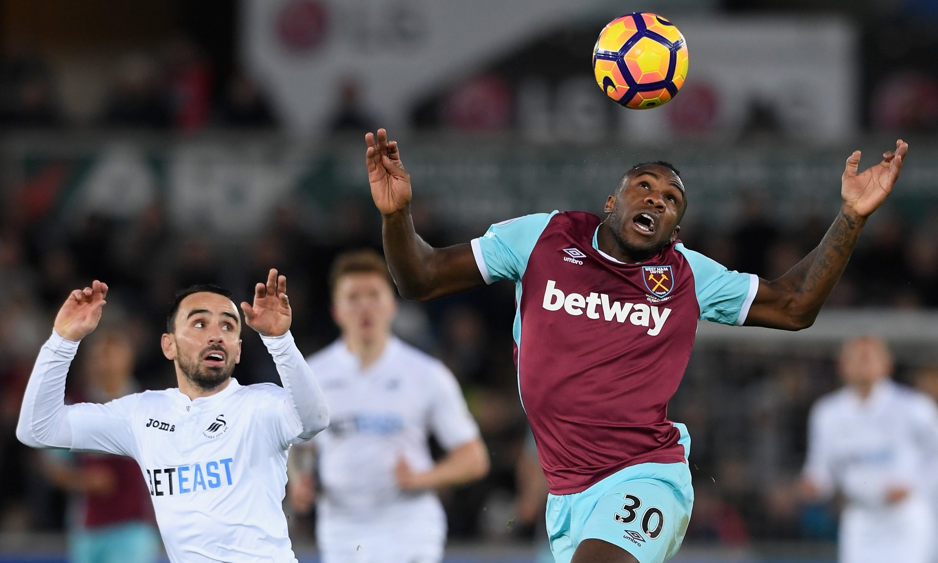 不仅是球迷 不仅是球迷